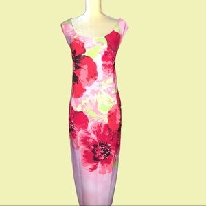 Nwot! Maya Brooke beautiful floral sheath …